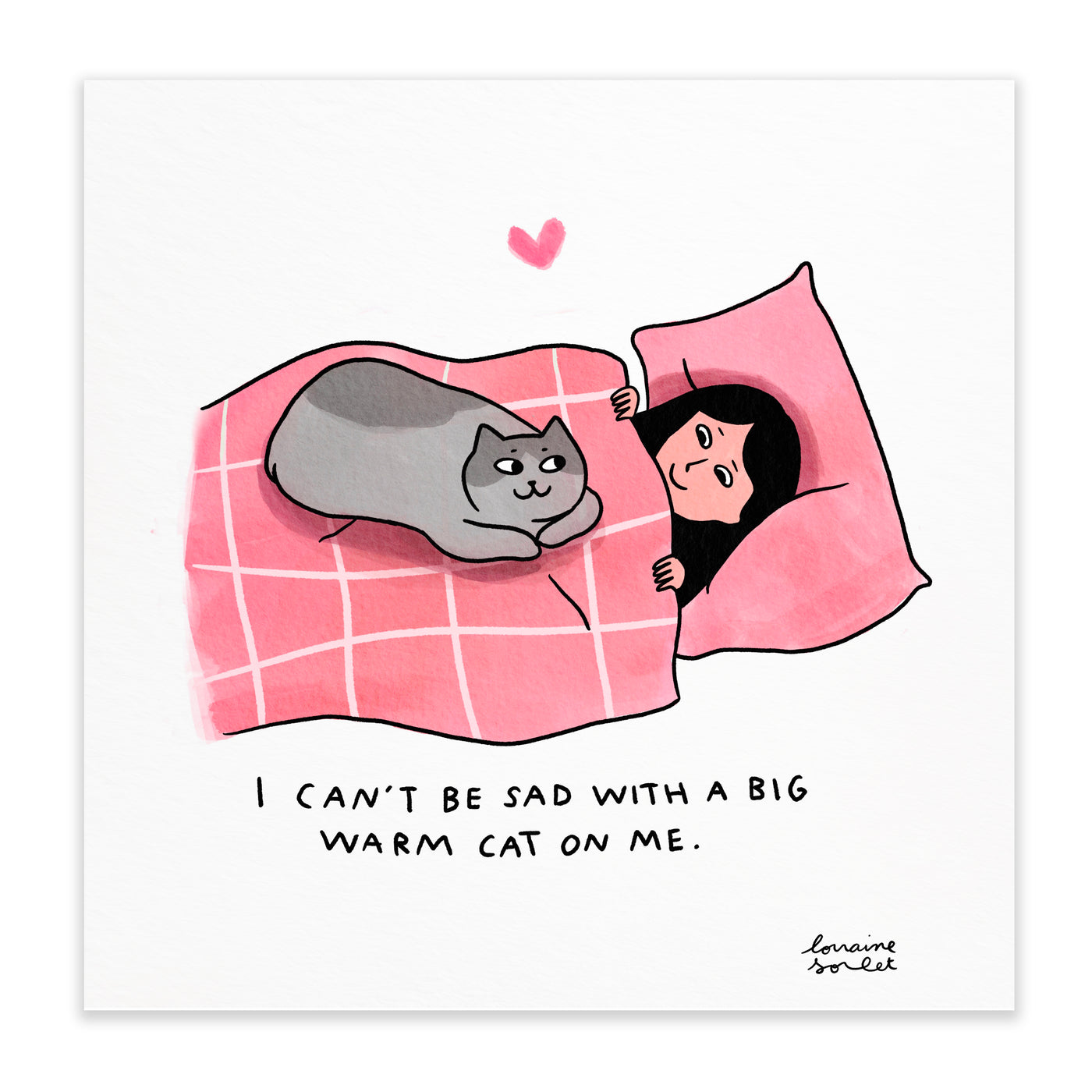 A BIG WARM CAT