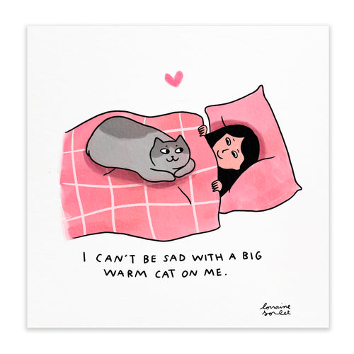 A BIG WARM CAT