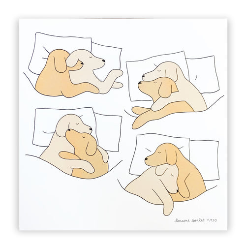 Les chiens font la sieste