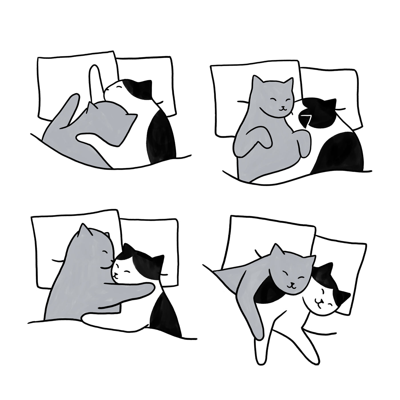 Sleeping Cats