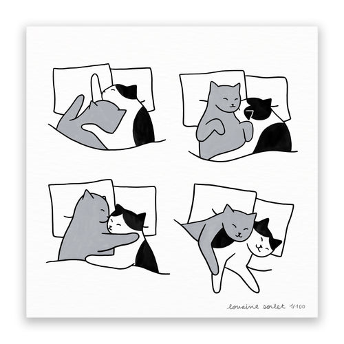 Sleeping Cats